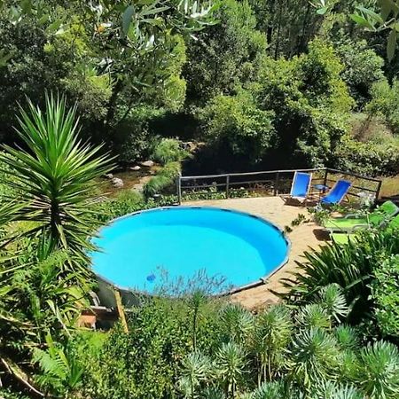 Apartament Casa Ribeira Coentral Das Barreiras Zewnętrze zdjęcie