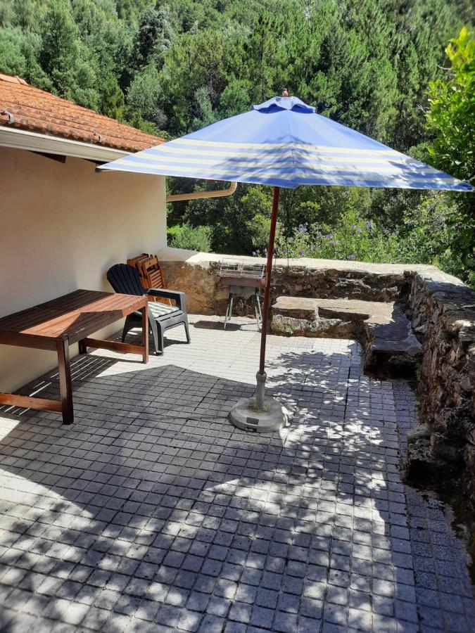 Apartament Casa Ribeira Coentral Das Barreiras Zewnętrze zdjęcie